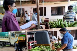 Banana farmers  Banana  farmers  intense rain loss  kerala rain  മഴക്കെടുതി  മഴ  നേന്ത്രക്കായ  നേന്ത്ര പഴം  കര്‍ഷകര്‍  കാര്‍ഷിക നിയമം  farmers law