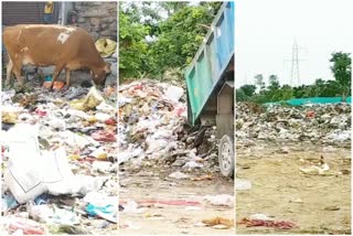 garbage on the streets in jaipur