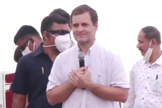 राहुल गांधी