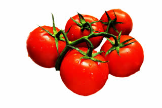 kg-tomato-cost-74-rupees-in-madanapalle-market-yard-at-chittor-distrcit