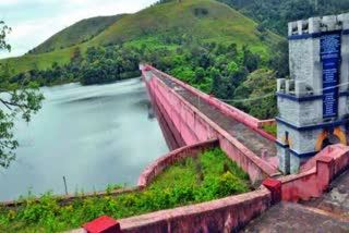 forest department  tree cutting  tree cutting in mullaperiyar  Chief Wildlife Warden  മുല്ലപ്പെരിയാറിലെ മരംമുറിക്കൽ  mullaperiyar  മുല്ലപ്പെരിയാർ  മരംമുറിക്കൽ  ചീഫ് വൈല്‍ഡ് ലൈഫ് വാര്‍ഡന്‍