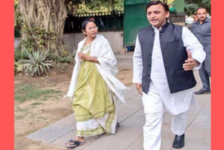 Mamata to campaign for SP