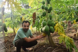 sirmour hp hitesh left the job in his desire to become an advanced farmer