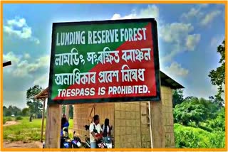 Lamming Forest  Get ready for Eviction