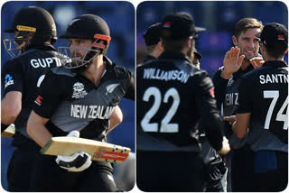 New Zealand enter semifinals with eight-wicket victory over Afghanistan