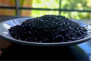 black rice