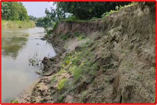 erosion of baralia river in Rangia Tatrakusi