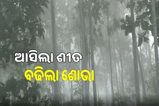 ଓଡ଼ିଶାର ଭୂସ୍ବର୍ଗରେ ଖସିଲା ପାରଦ, ସର୍ବନିମ୍ନ ତାପମାତ୍ରା ୯.୫ ଡିଗ୍ରୀ ରେକର୍ଡ