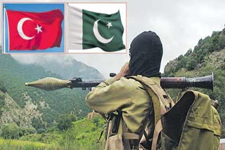 Turkey joins Pakistan in FATF Grey list in a double blow for Islamabad