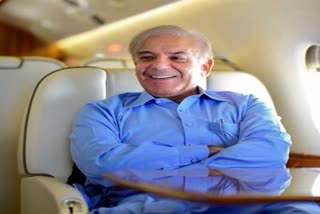 Shahbaz Sharif