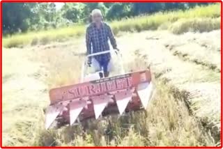 Farmers busy cutting paddy in fields with the help of Reapar