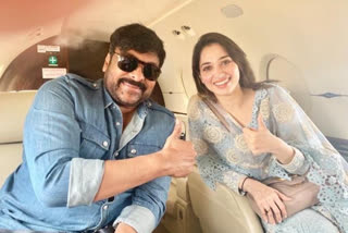 Chiranjeevi, சிரஞ்சீவி, தமன்னா, Tamannaah