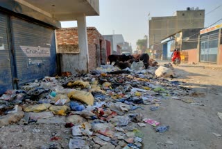 People are very upset due to the problem of litter in Sangam Vihar area of Delhi.