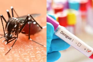 Odisha placed 5th in dengue cases in this year's NVBDCP report