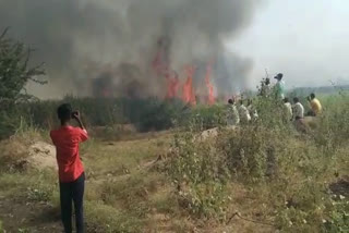 Fire on sugarcane crop in muddebihal