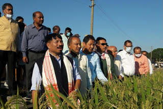 cultivation day celebration at aau jorhat