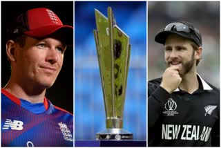 T20 World cup semifinal