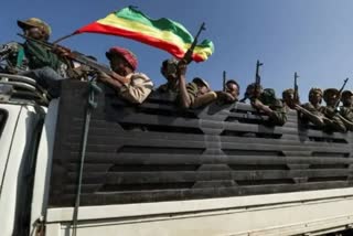 sixteen local un staff detained in ethiopia