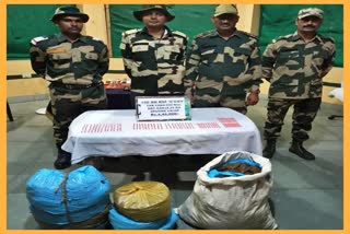 bsf-confiscated-narcotics-and-contraband-worth-and-destroyed-ganja-saplings-in-tripura
