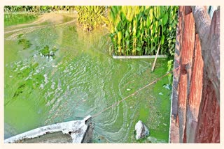 people have stop to visit dighali pukhuri due to unhygienic condition