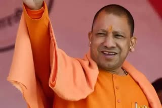 cm yogi up