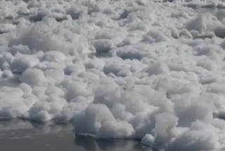 toxic foam from Yamuna