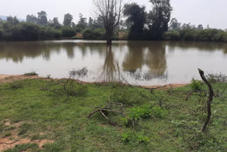 Lakes Full for Rain in Bandipur