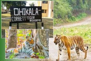 corbett national park