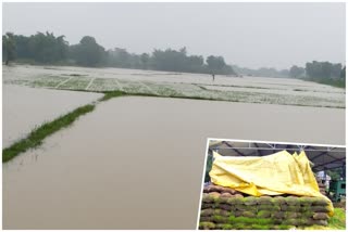 tamil nadu weather