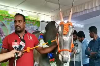big-bull-exhibition-in-bengalore