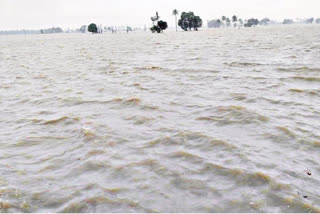 heavy rains in nellore and chittor districts