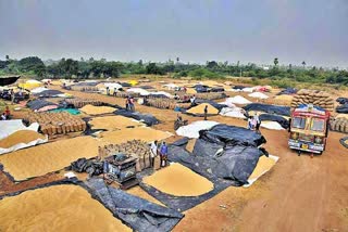 paddy purchase in telangana