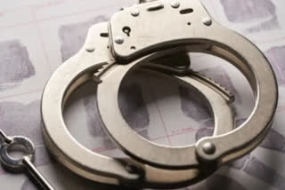 wrestler-nisha-dahiya-murder-case-main-accused-coach-pawan-surrendered police arrest 2 other accused