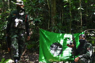 Dimasa National Liberation Army is ready to surrender