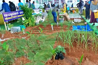bangalore agricultural fair demonstration of the Different types of farming
