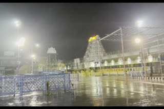 Heavy rains with gusts of wind lashed Tirumala Hill on Thursday