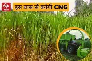 कोटा में घास से बनेगी BIO-CNG