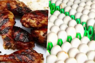 Egg and non-veg carts banned in public places in four cities of Gujarat  Egg and non-veg carts in Gujarat  Egg and non-veg carts banned in Gujarat  etv bharat urdu news  گجرات کے چار شہروں میں عوامی مقامات پر انڈے اور نان ویج ٹھیلوں پر پابندی عائد  نون ویج اور انڈے کے ٹھیلوں کو ہٹانے کا فیصلہ  جونا گڑھ میونسپل کارپوریشن  بھاونگر میونسپل کارپوریشن  انڈے اور نان ویج ٹھیلوں کو ہٹانے کا حکم