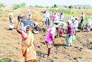 national rural employment guarantee news, NREGA in telangana