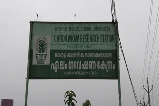 Delay in recruitment in cardamom research center  cardamom research center idukki  ഏലം ഗവേഷണ കേന്ദ്രത്തിലെ തൊഴിലാളി നിയമനം വൈകുന്നു  ഏലം ഗവേഷണ കേന്ദ്രം  ഏലം ഗവേഷണ കേന്ദ്രം വാർത്ത  പ്രത്യക്ഷ സമരത്തിനൊരുങ്ങി ഉദ്യോഗാർഥികൾ  പാമ്പാടുംപാറ സംസ്ഥാന ഏലം ഗവേഷണ കേന്ദ്രം  Pampadumpara State Cardamom Research centre  psc rank list in cardamom research center  cardamom research center news latest