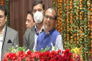 Cows, their dung, urine can help strengthen economy: MP CM Chouhan