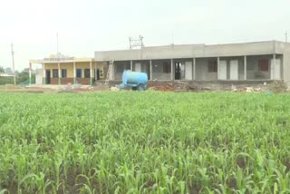 agriculture in school field