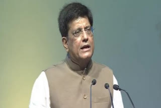 Piyush Goyel