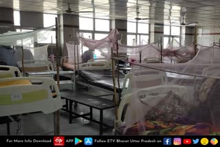 राजधानी लखनऊ में डेंगू के बढ़ रहे मामले