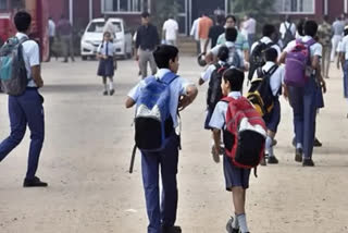 haryana school closed