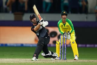 T20 World Cup Final: williamson fifty help new Zealand set a target of 173 runs against Australia