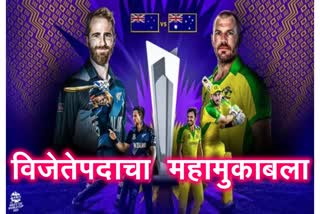 t20 world cup 2021 final