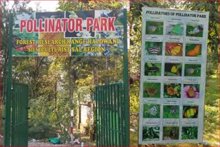 pollinator park