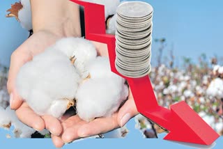 ap-farmers-facing-problems-with-increasing-cotton-prices