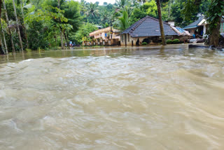 pathanamthitta rain  pathanamthitta rain news  pathanamthitta rainfall news  pathanamthitta rainfall  pathanamthitta heavy rainfall  pathanamthitta heavy rainfall news  pathanamthitta heavy rain  pathanamthitta heavy rain news  pathanamthitta latest news  pathanamthitta rain relief camp  pathanamthitta rain relief camp news  pathanamthitta relief camp  pathanamthitta relief camp news  pathanamthitta relief camp opened news  pathanamthitta relief camp opened  pathanamthitta 18 relief camp opened  18 relief camp opened pathanamthitta  18 relief camp opened pathanamthitta news  relief camp opened pathanamthitta  പത്തനംതിട്ട കനത്ത മഴ വാര്‍ത്ത  പത്തനംതിട്ട കനത്ത മഴ  പത്തനംതിട്ട മഴ  പത്തനംതിട്ട മഴ വാര്‍ത്ത  പത്തനംതിട്ട പുതിയ വാര്‍ത്ത  പത്തനംതിട്ട മഴ ദുരിതാശ്വാസ ക്യാമ്പ് വാര്‍ത്ത  പത്തനംതിട്ട മഴ ദുരിതാശ്വാസ ക്യാമ്പ്  പത്തനംതിട്ട ദുരിതാശ്വാസ ക്യാമ്പ്  പത്തനംതിട്ട ദുരിതാശ്വാസ ക്യാമ്പ് വാര്‍ത്ത  പത്തനംതിട്ട ദുരിതാശ്വാസ ക്യാമ്പ് തുറന്നു വാര്‍ത്ത  പത്തനംതിട്ട ദുരിതാശ്വാസ ക്യാമ്പ് തുറന്നു  ദുരിതാശ്വാസ ക്യാമ്പ് പത്തനംതിട്ട വാര്‍ത്ത  ദുരിതാശ്വാസ ക്യാമ്പ് പത്തനംതിട്ട  ദുരിതാശ്വാസ ക്യാമ്പ് തുറന്നു വാര്‍ത്ത  ദുരിതാശ്വാസ ക്യാമ്പ് തുറന്നു  18 ദുരിതാശ്വാസ ക്യാമ്പ് തുറന്നു  18 ദുരിതാശ്വാസ ക്യാമ്പ് തുറന്നു വാര്‍ത്ത  പത്തനംതിട്ട 18 ദുരിതാശ്വാസ ക്യാമ്പ് തുറന്നു വാര്‍ത്ത  പത്തനംതിട്ട 18 ദുരിതാശ്വാസ ക്യാമ്പ് തുറന്നു  പത്തനംതിട്ട ദുരിതാശ്വാസ ക്യാമ്പ് തുറന്നു  പത്തനംതിട്ട ദുരിതാശ്വാസ ക്യാമ്പ് തുറന്നു വാര്‍ത്ത